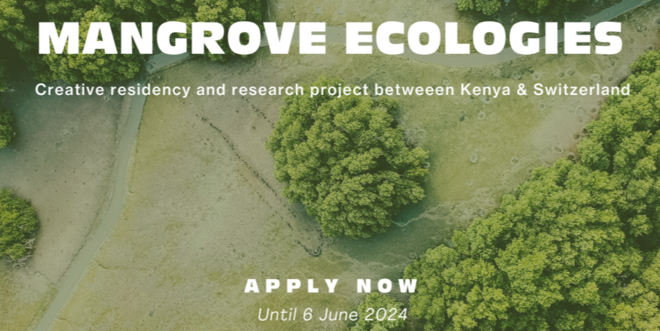 05-2024_Mangrove Ecologies